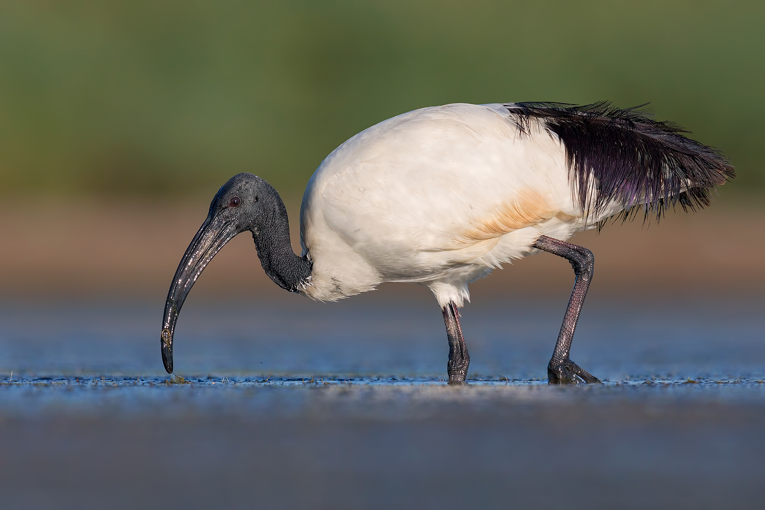 Sacri momenti di serenit�