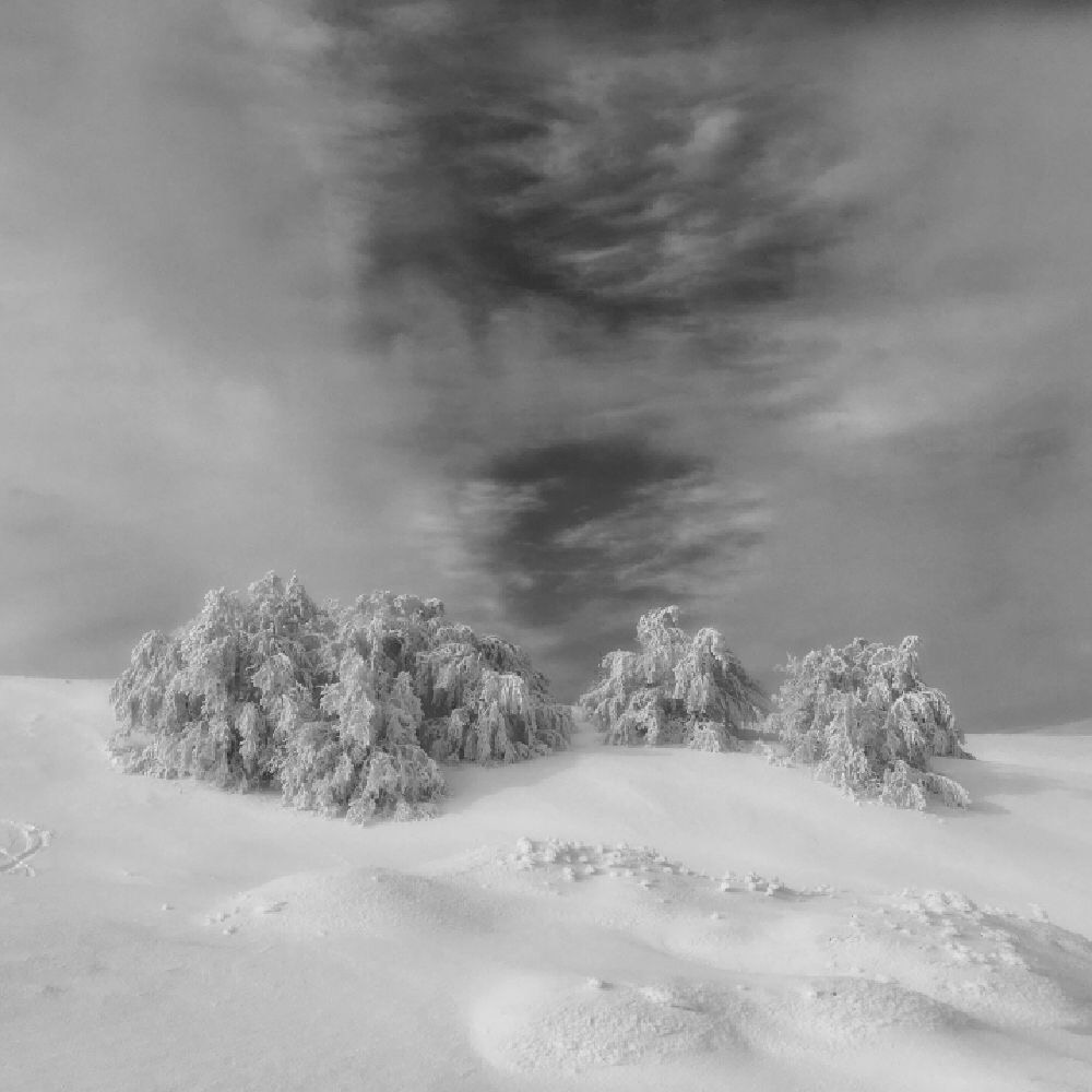 Appennino reggiano, gennaio 2018