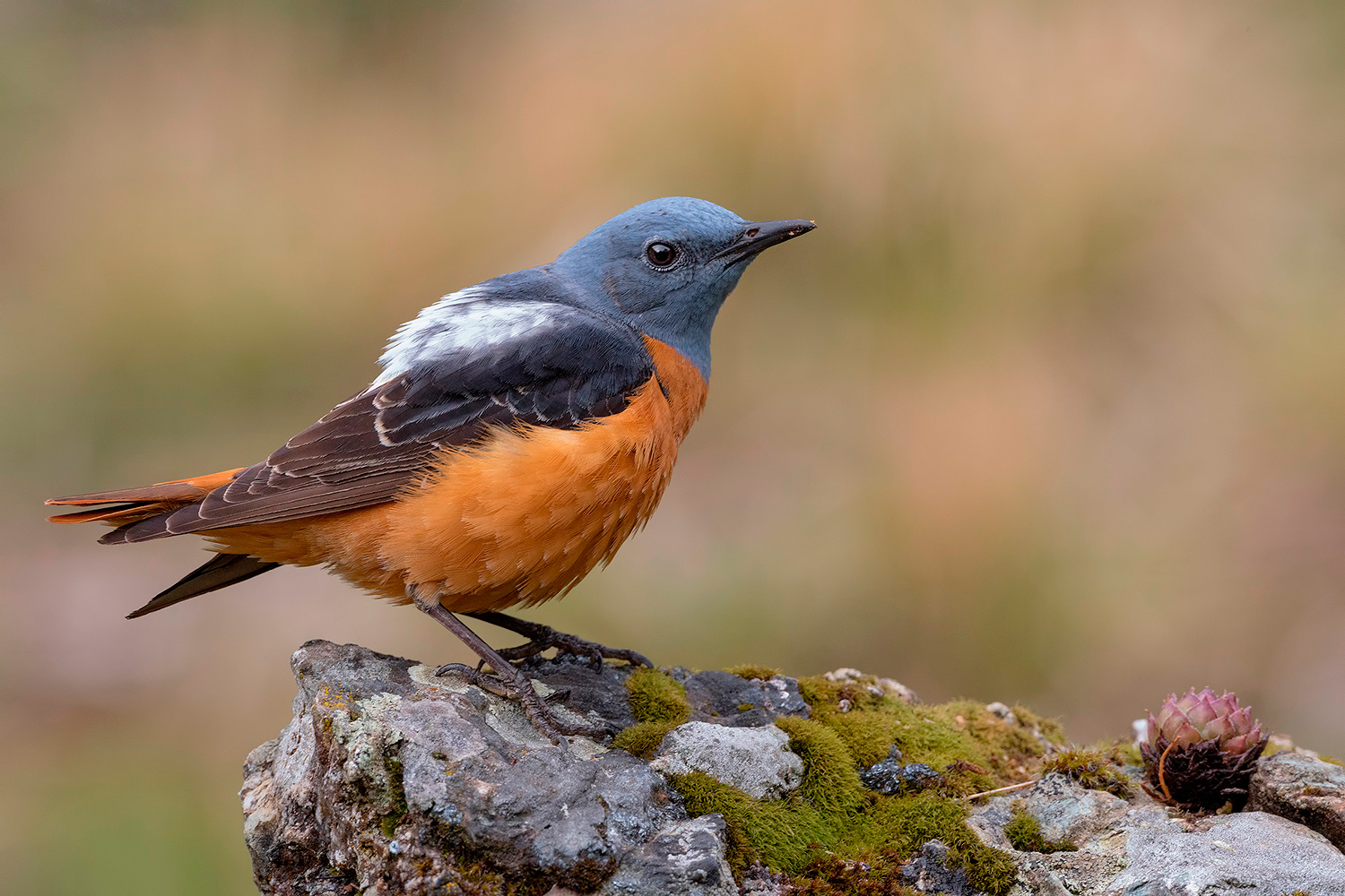 uno scatto a meta'.....