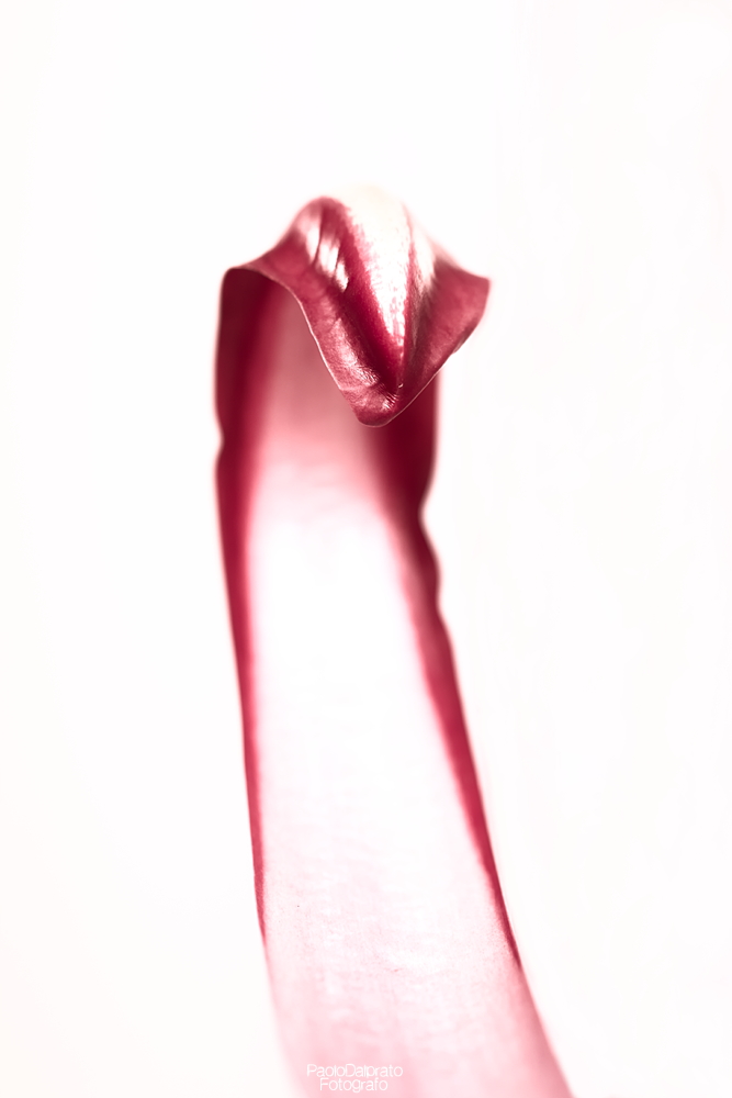 Cibo e quello che c'� intorno