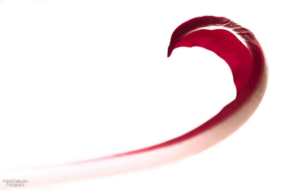 Cibo e quello che c'� intorno