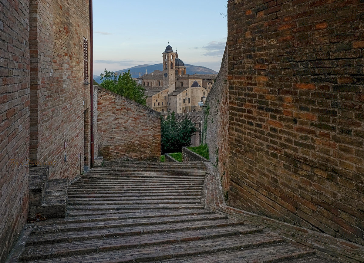 Urbino