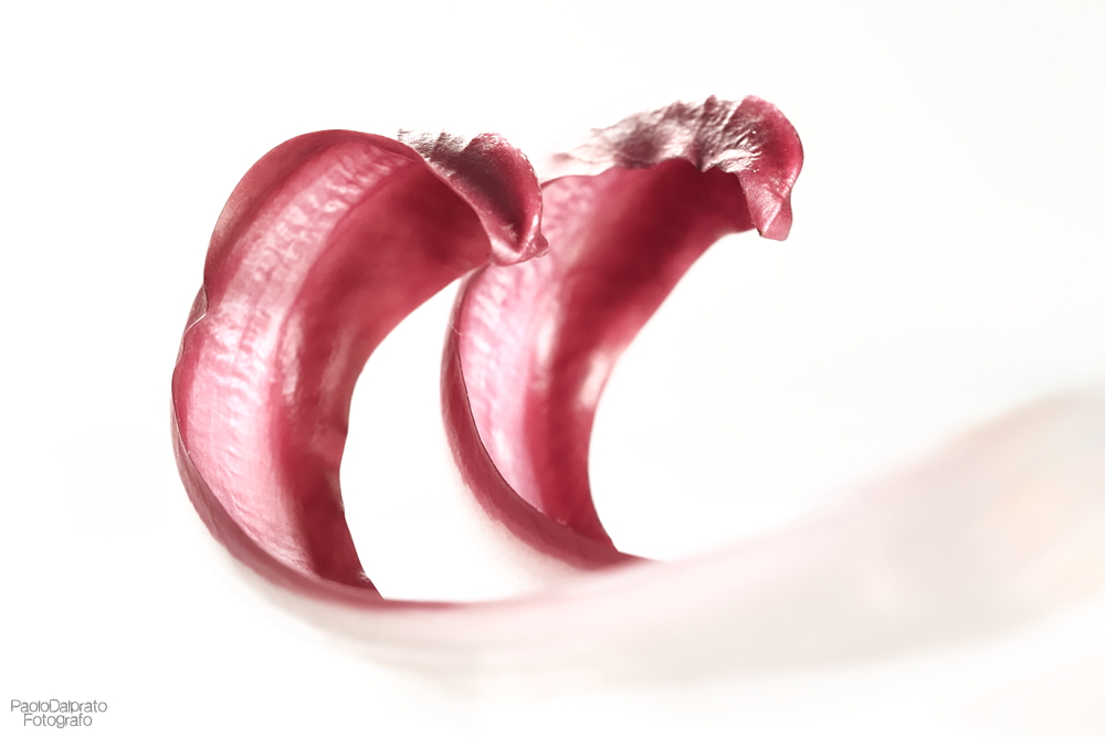 Cibo e quello che c'� intorno