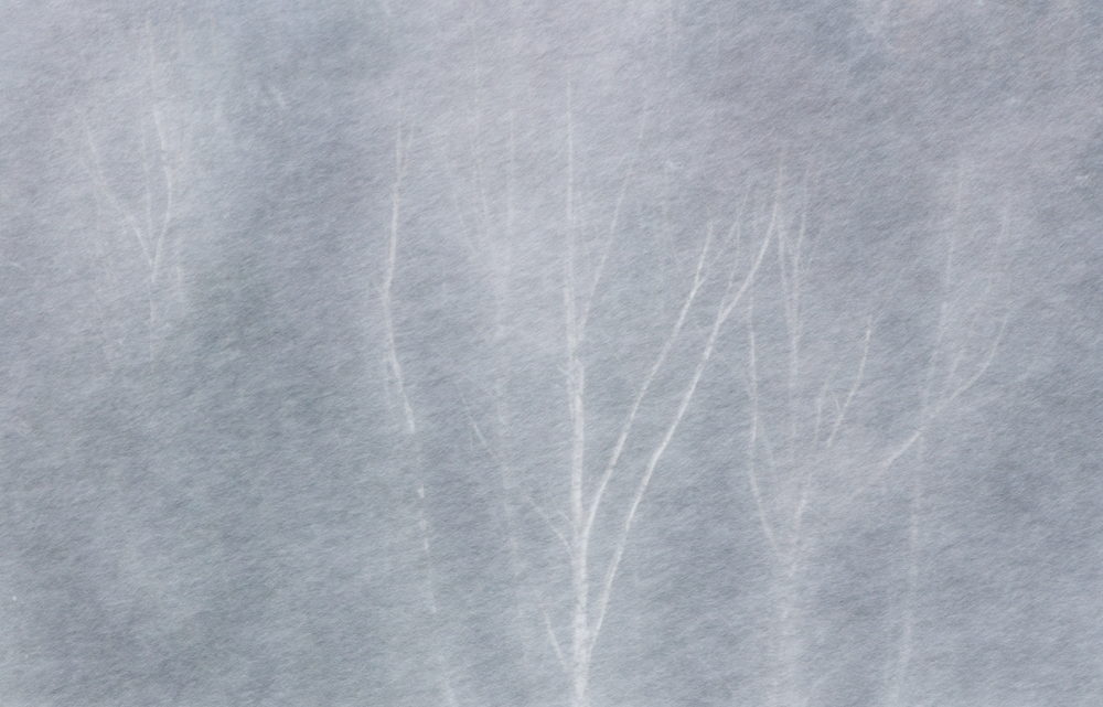 Impressioni Invernali