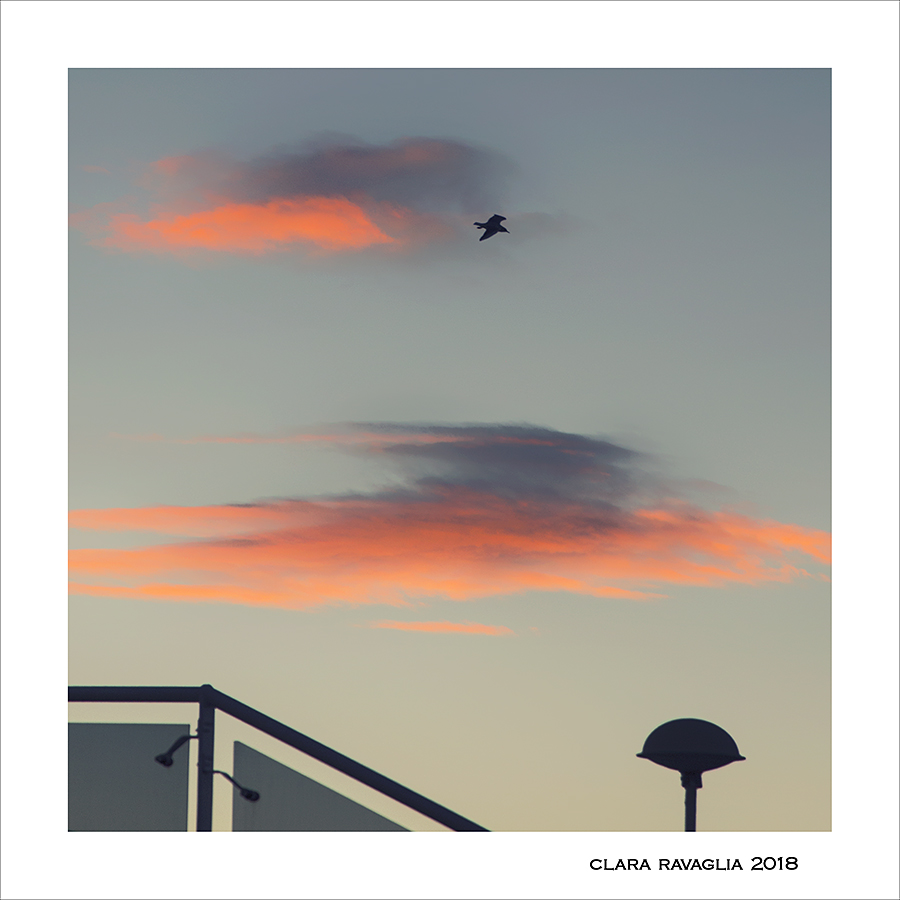 Ogni sera ha le sue ali...