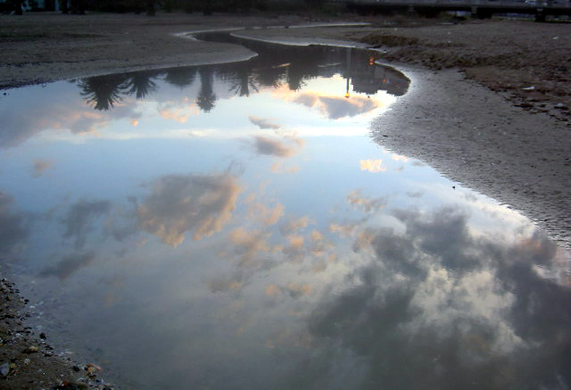 Riflessioni di una pozzanghera