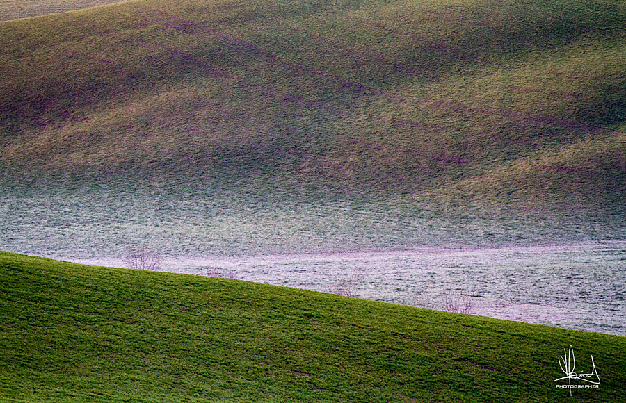 Onde verdi sulla brina