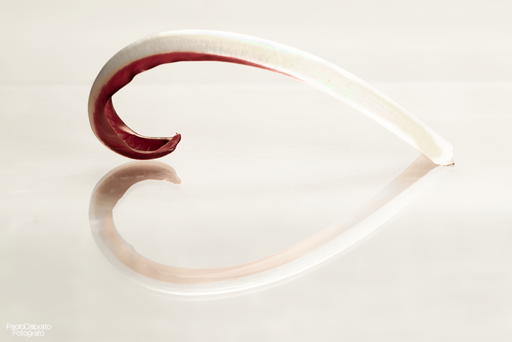 Cibo e quello che c'� intorno