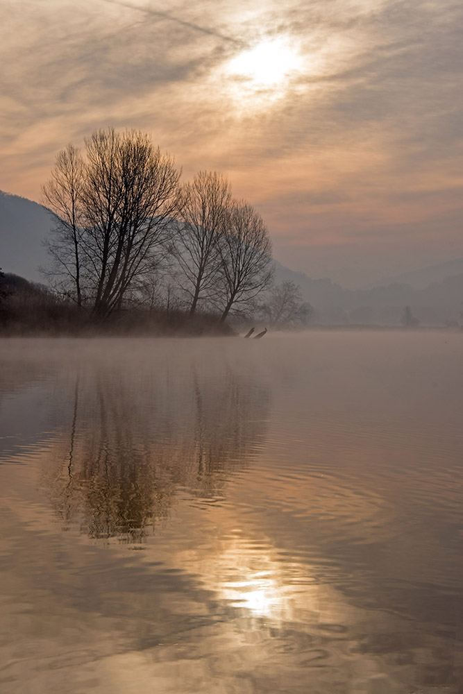 il mio angolo preferito