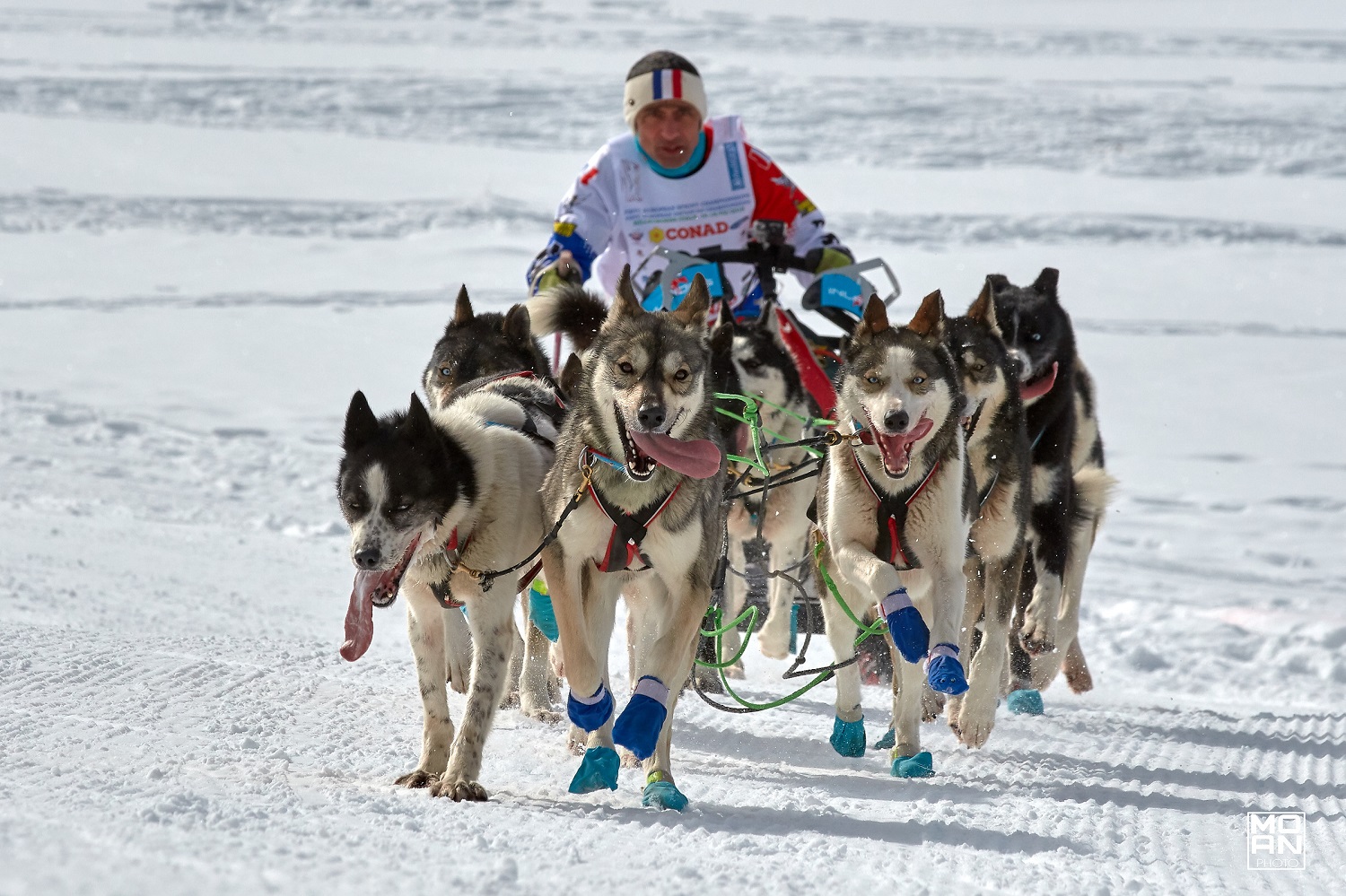 Campionato Europeo Sleddog Millegrobbe TN