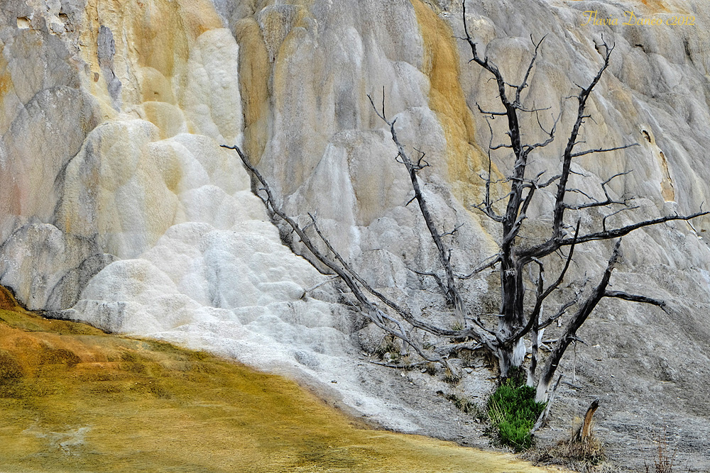 Natura "quasi" morta