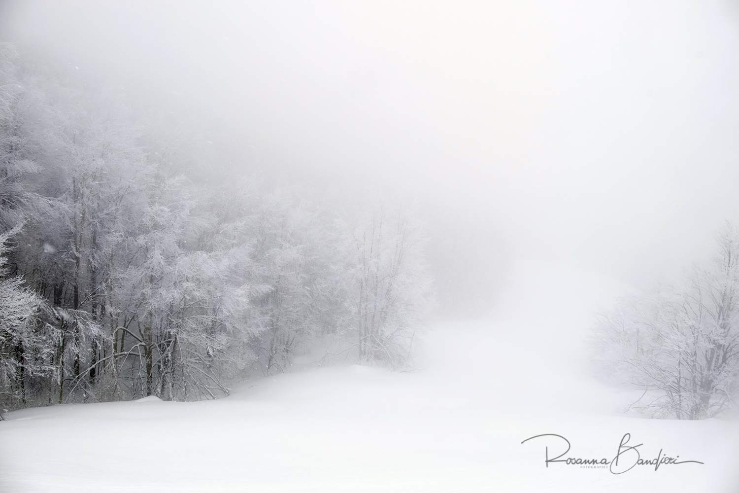 le cose come sono ..