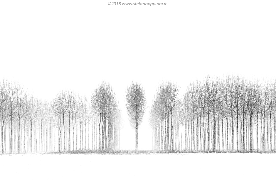 Le anime dell'inverno