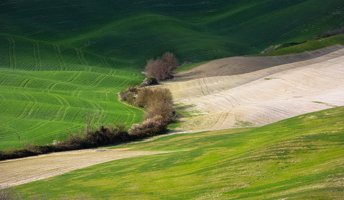 aspettando la primavera