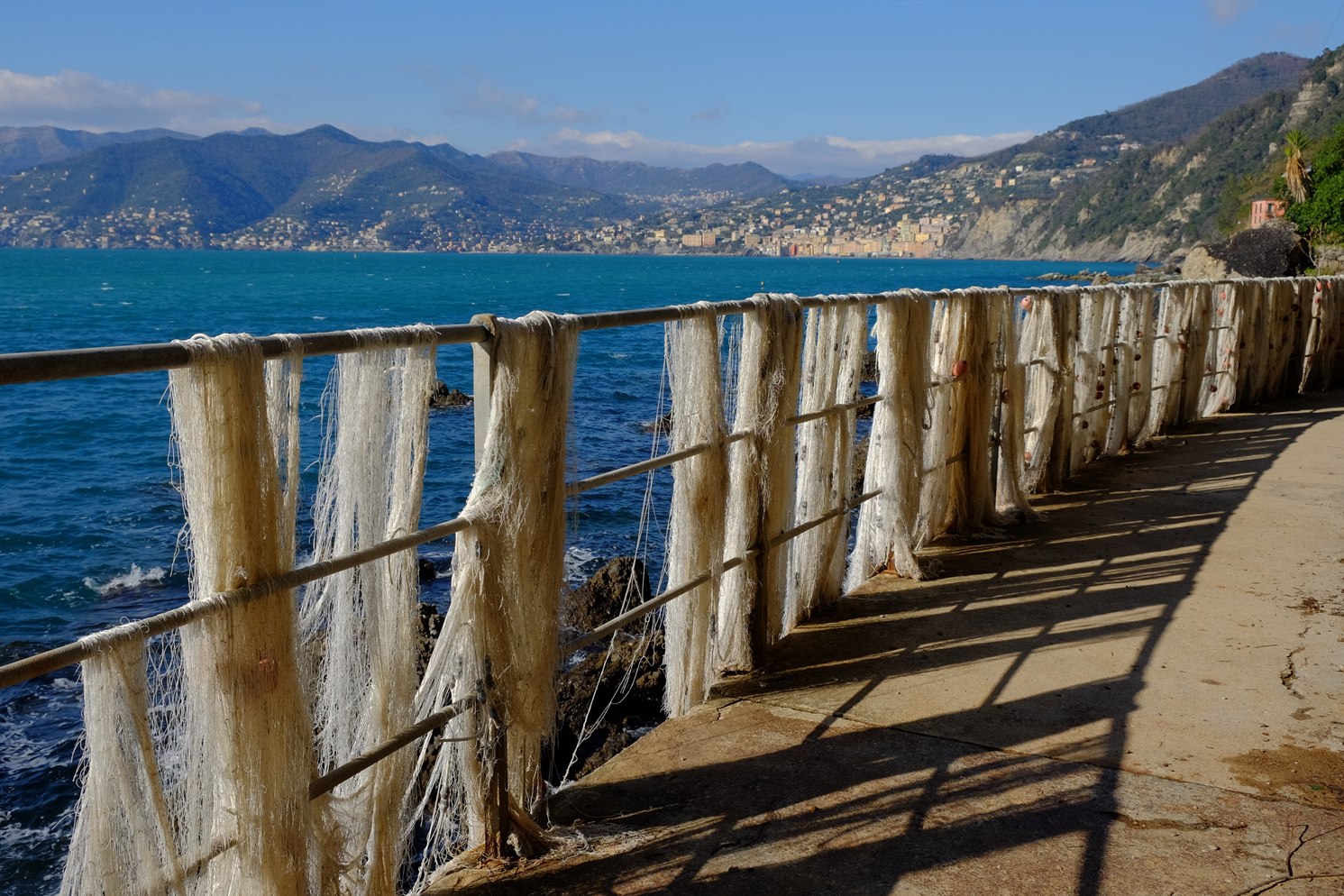 Aspettando la primavera