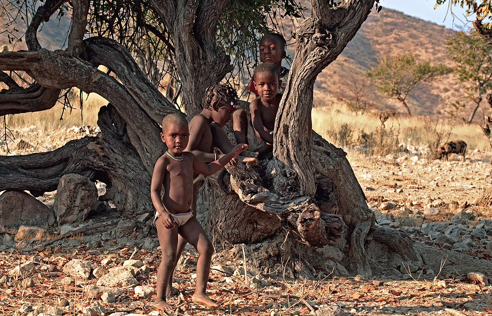 Foto di gruppo con albero