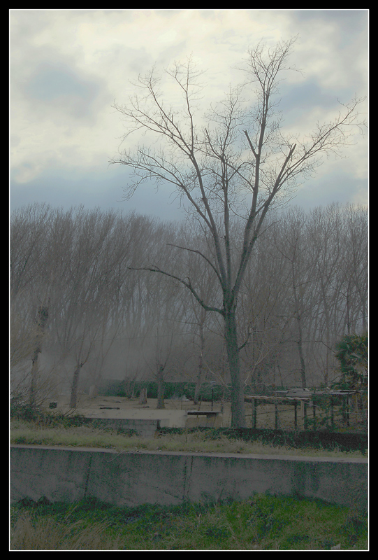 Albero in tono minore (chiave di sol)