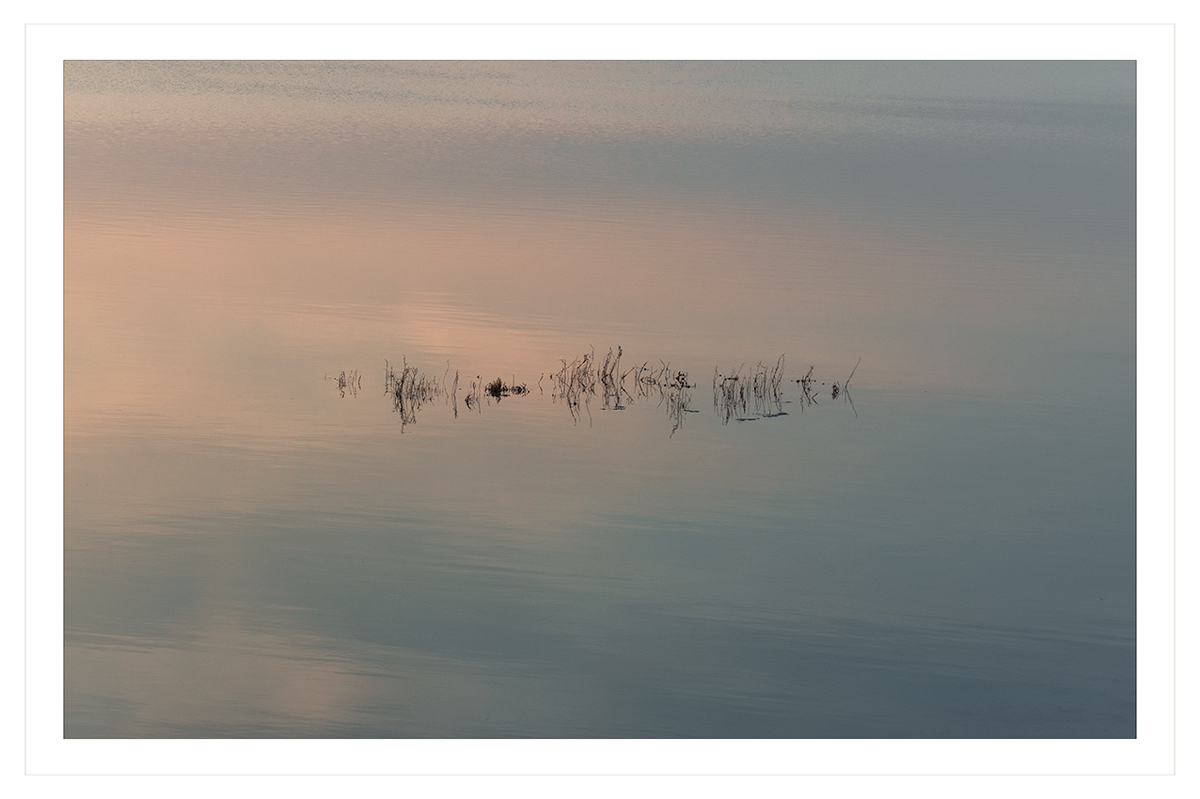 Il mio sguardo nel silenzio....