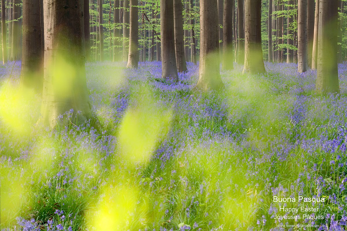 Buona Pasqua