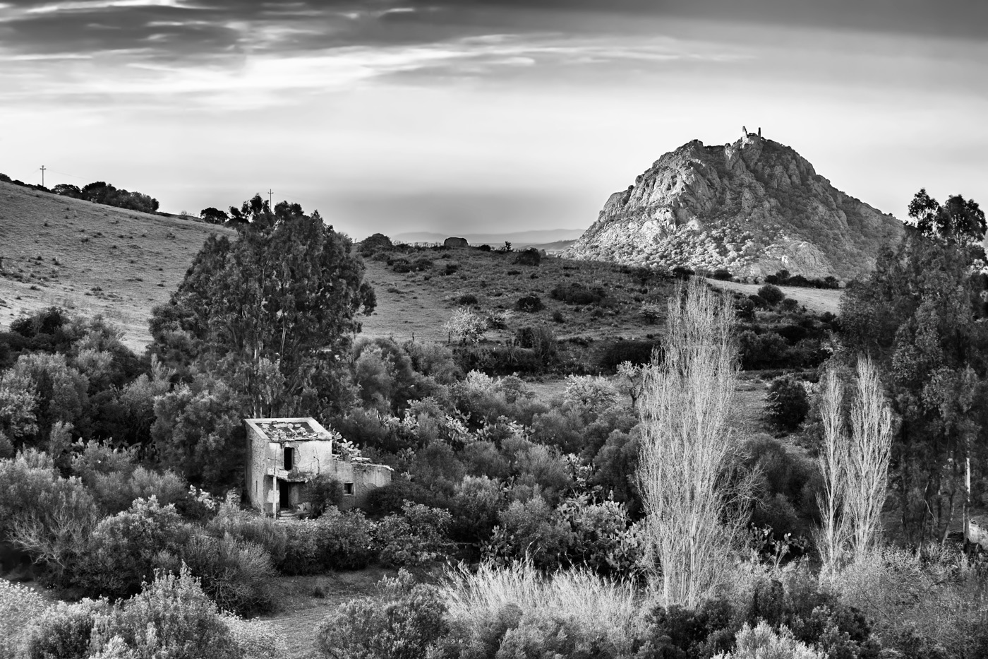 Nelle terre del Conte Ugolino