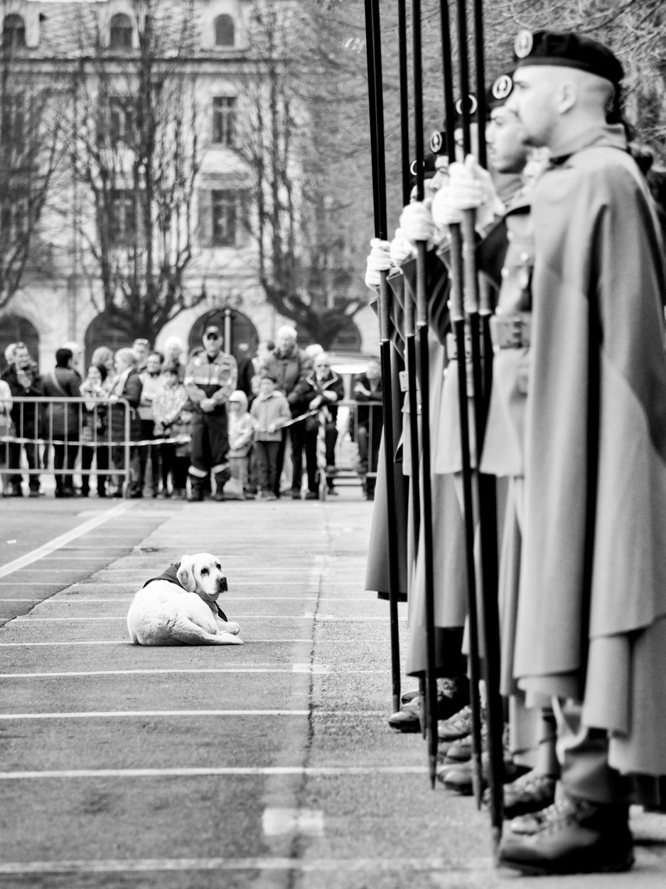 150�Anno Caprilliano