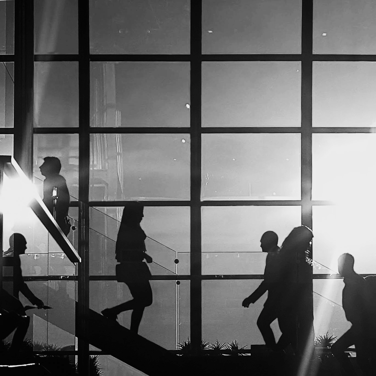 Camminando tra due soli