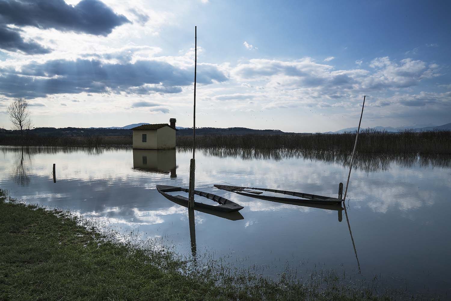 Il Padule di Fucecchio