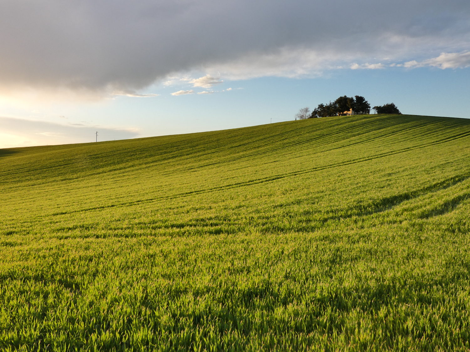 al tramonto nel conero