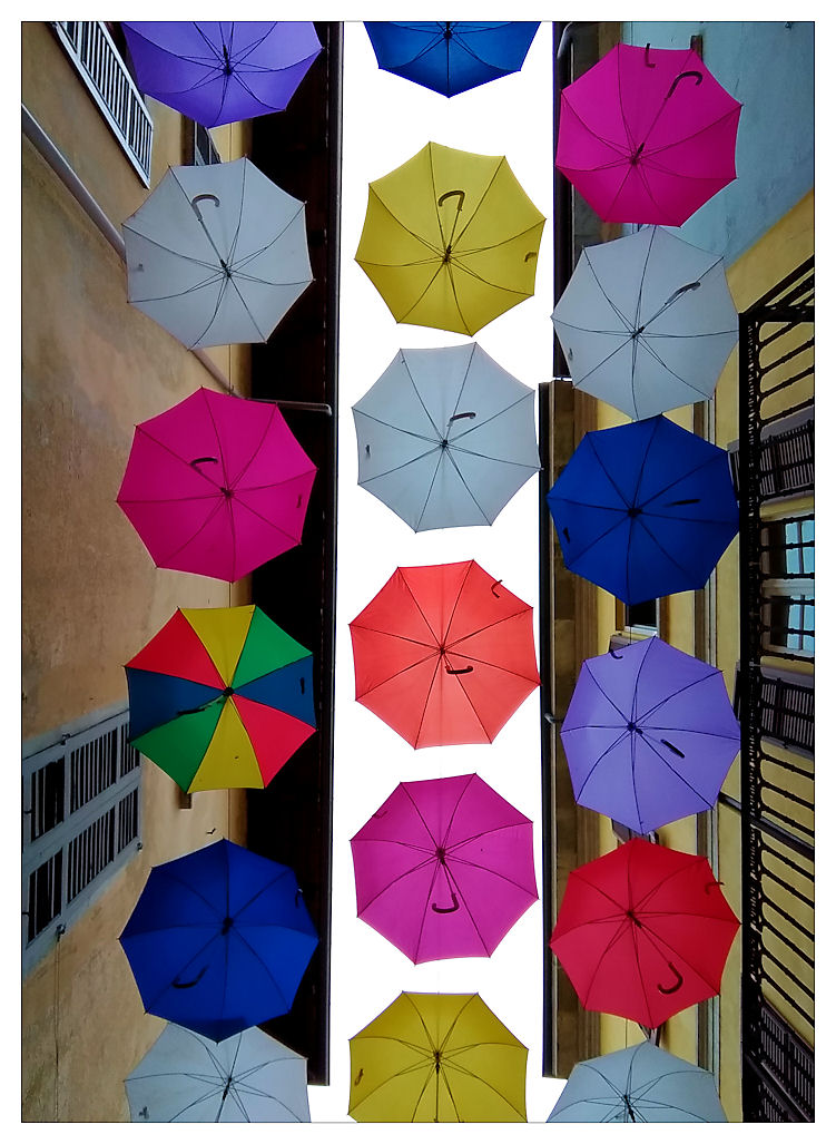 pioggia ....di ombrelli