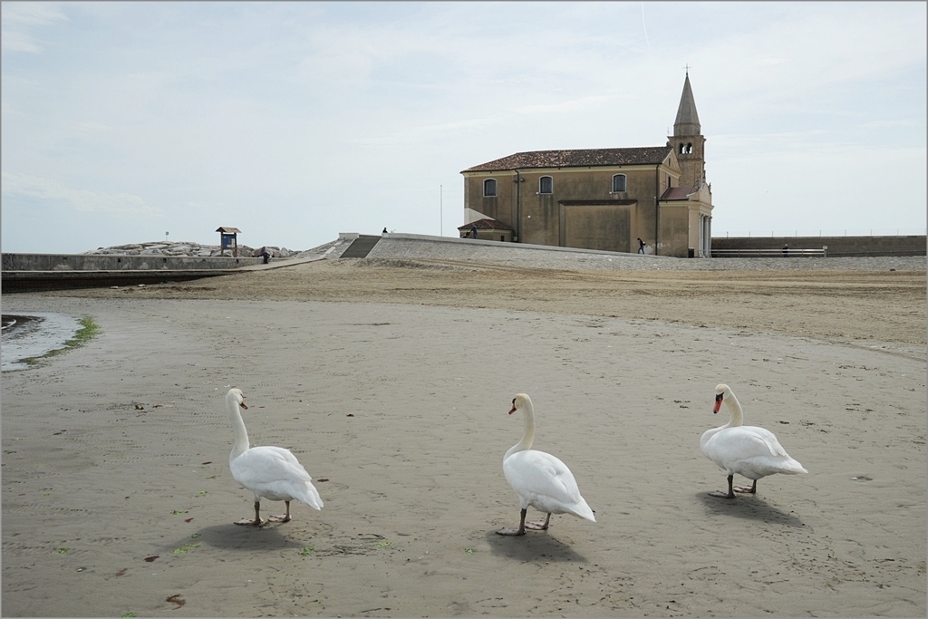 Caorle  03