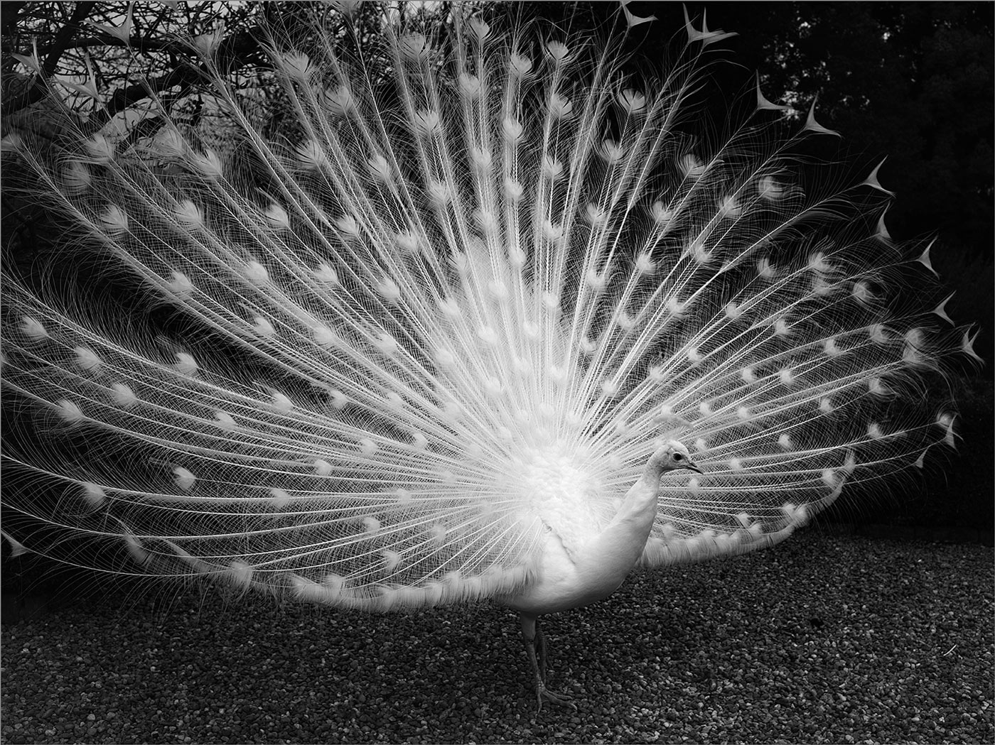 24032018_DSC7451-BN2