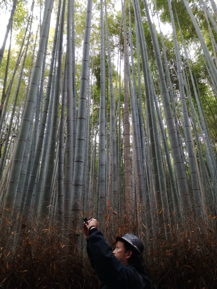 Arashiyama