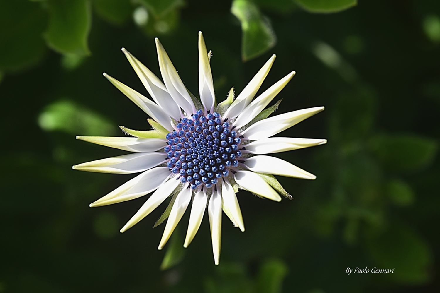 La primavera � arrivata