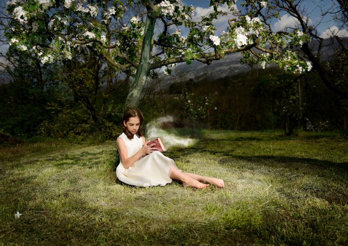 Il libro della fantasia