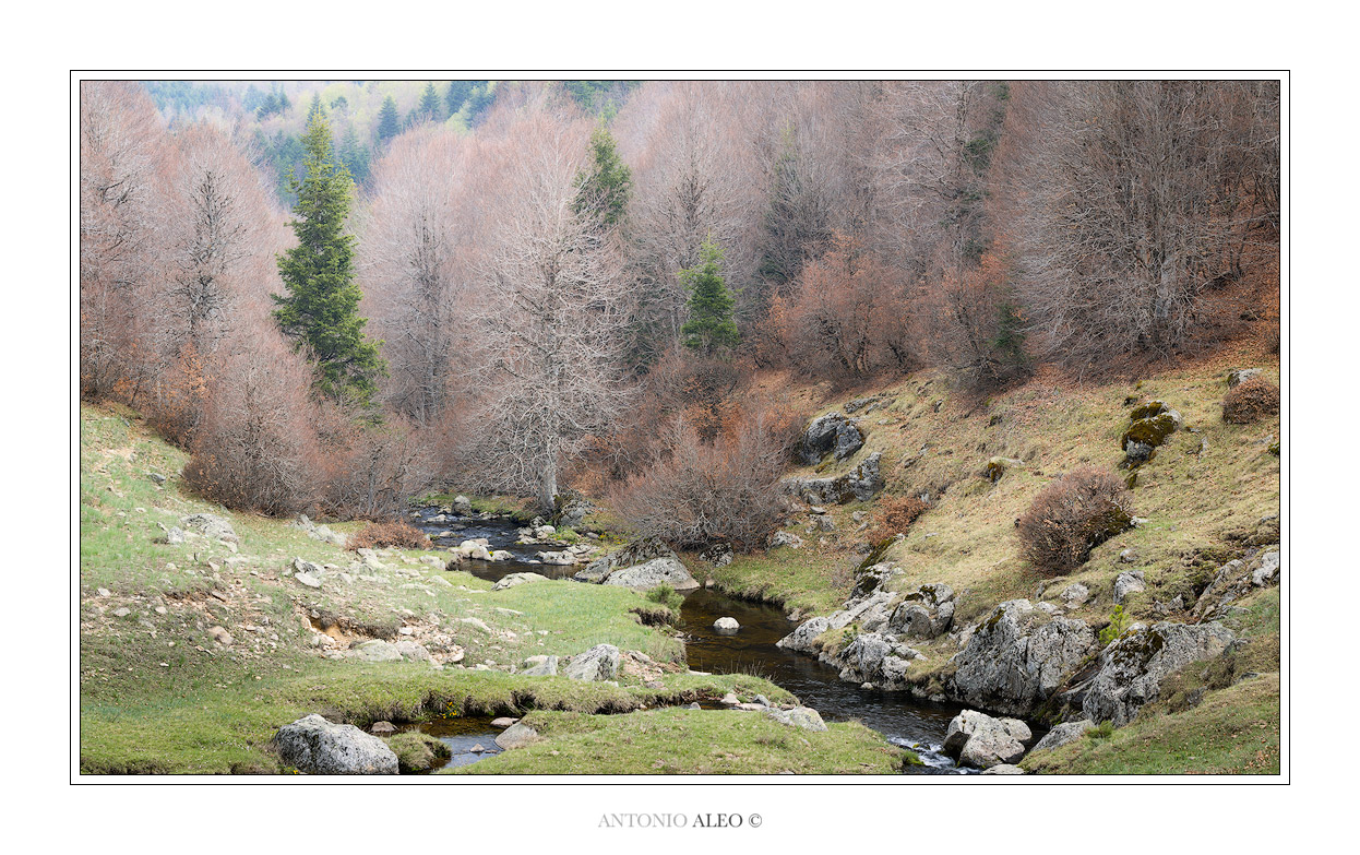 ''Terra di elfi e fate'' Quando Inverno, Primavera e sprazzi di Autunno si incrociano, tutto diviene ancora pi� magico.