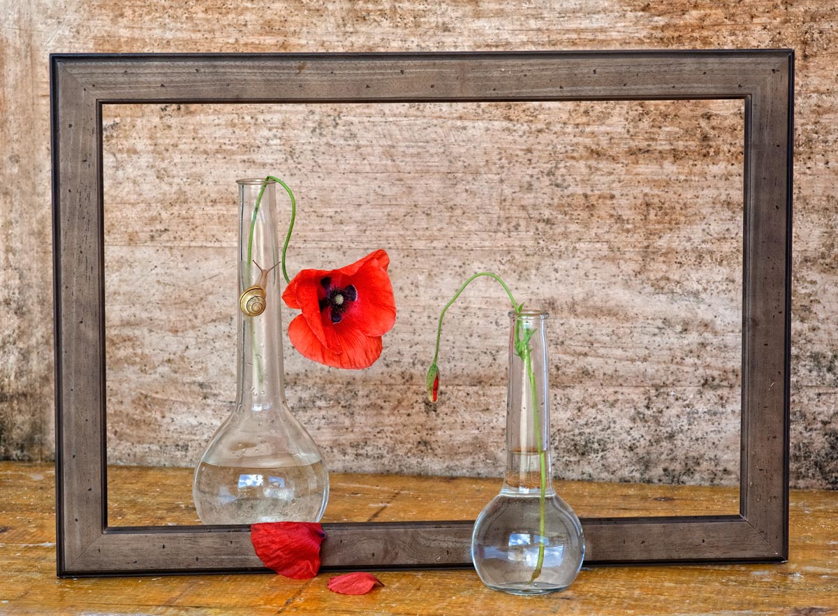 che bella che sei mamma...