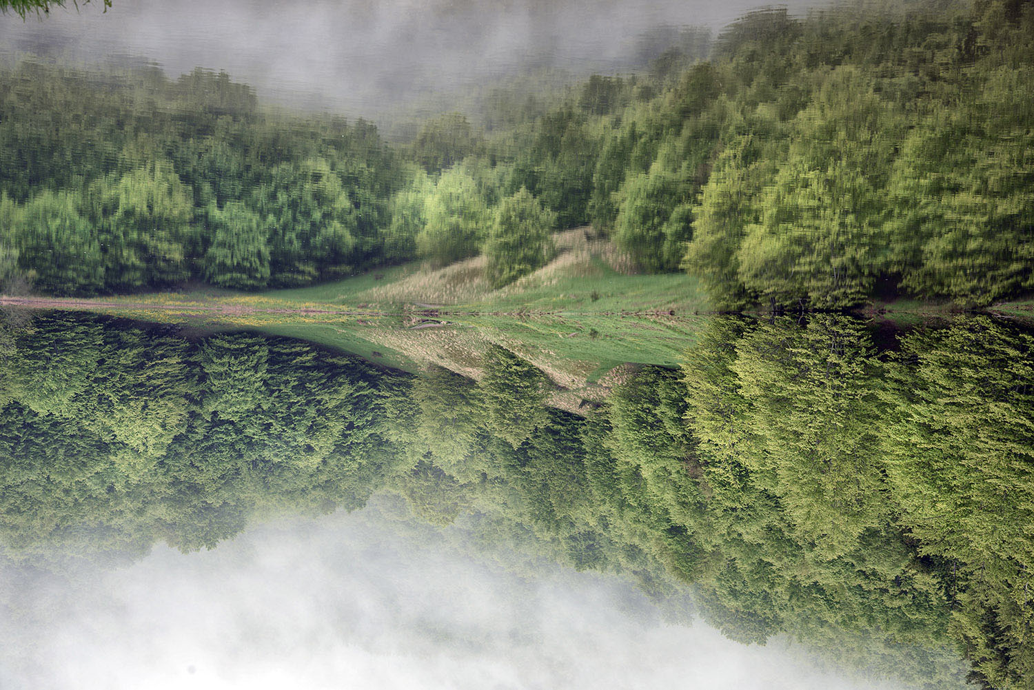 almeno una volta al giorno...