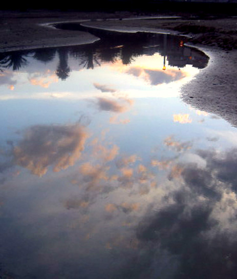 riflessione verticale di una pozzanghera