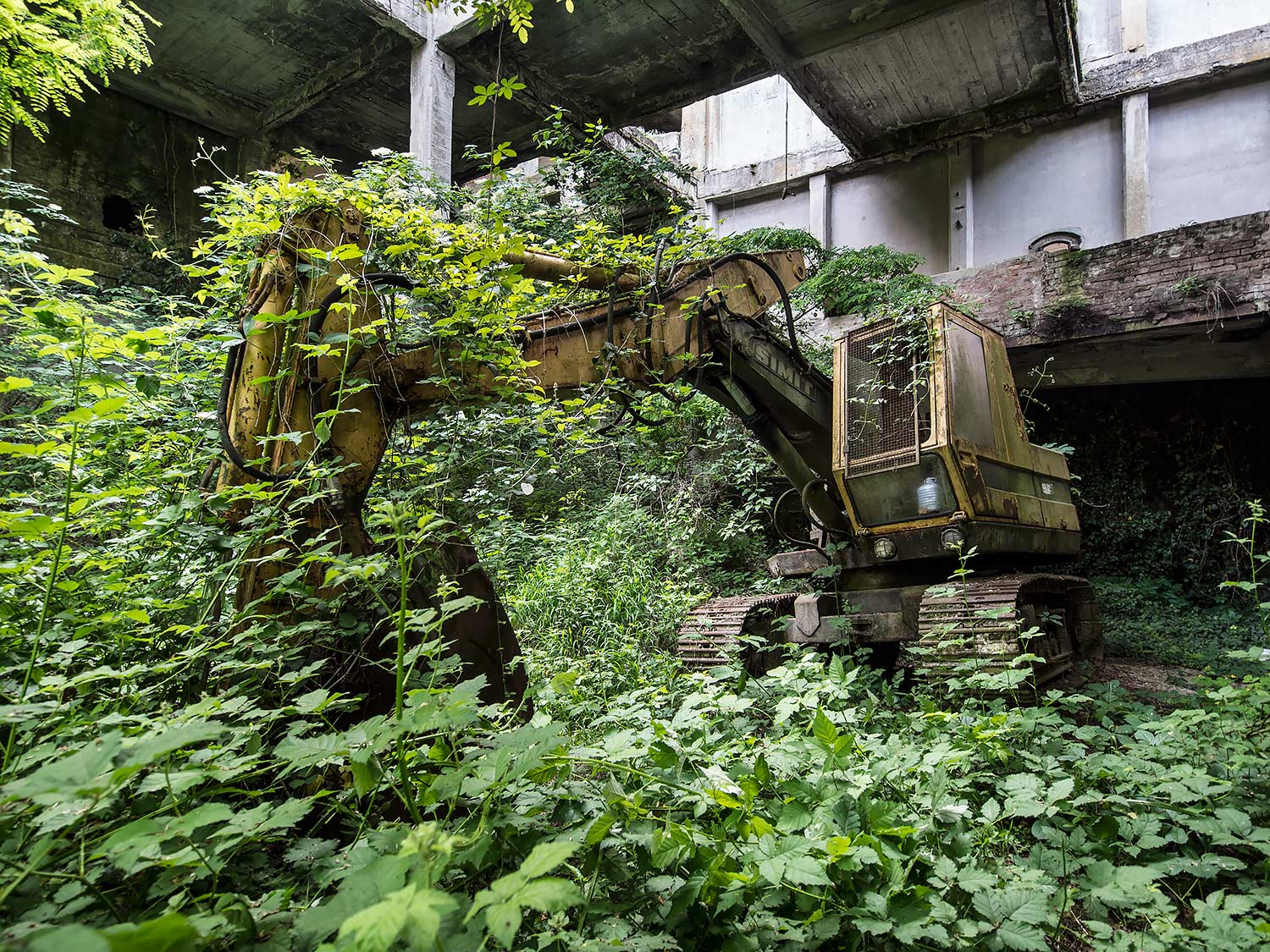 Il giorno dei trifidi