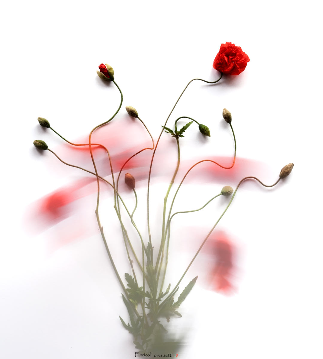 disegnare con un colpo di vento..