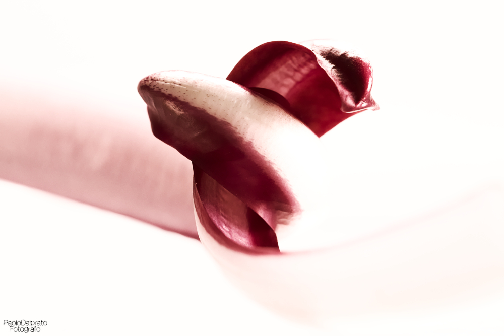 Cibo e quello che c'� intorno