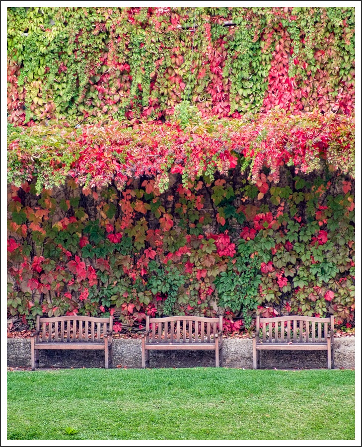panchine d'autunno