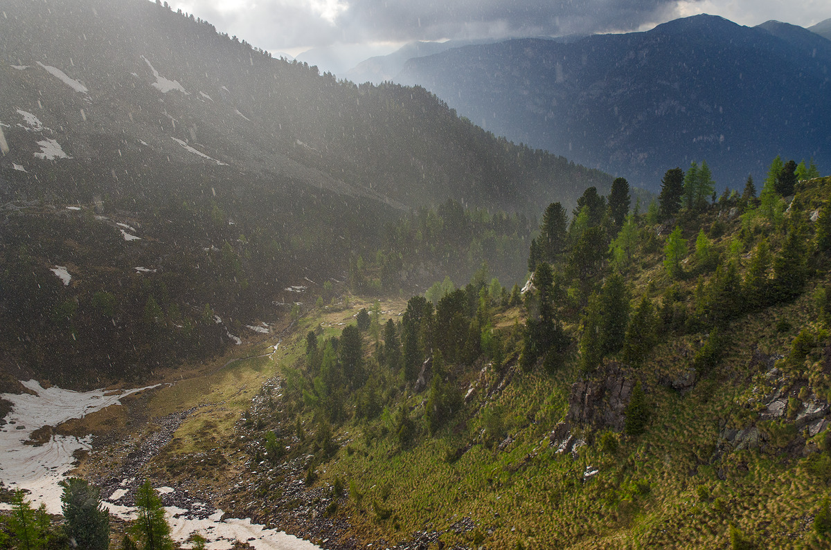 Quattro Stagioni in un Momento