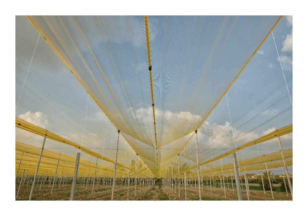 Variazione su tema...