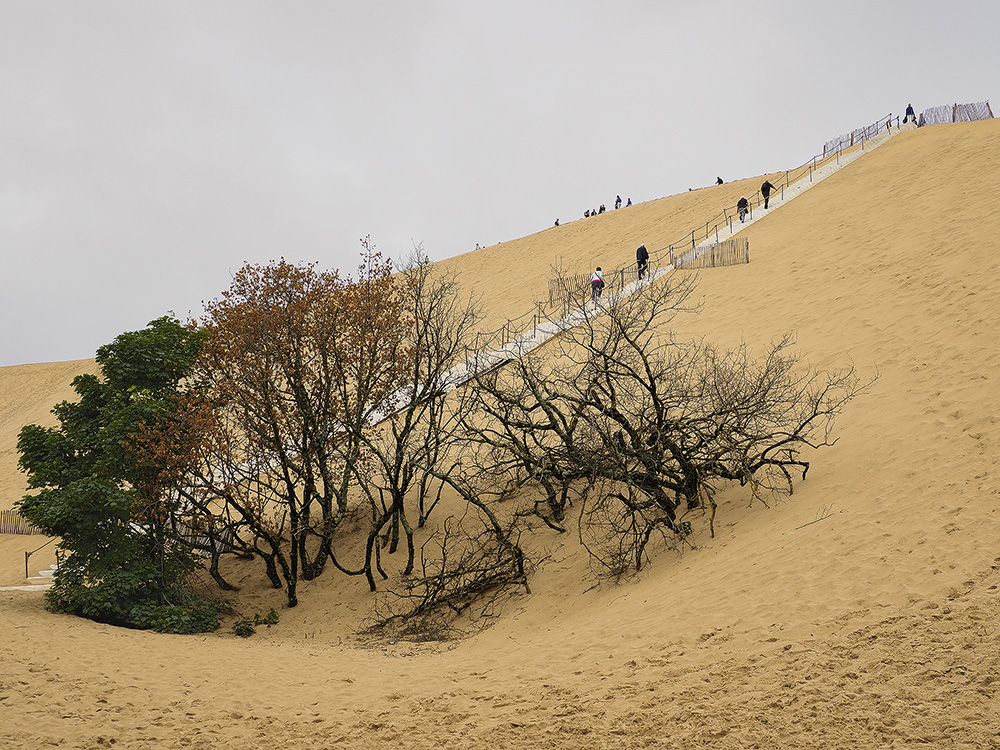 Dune du Pilat