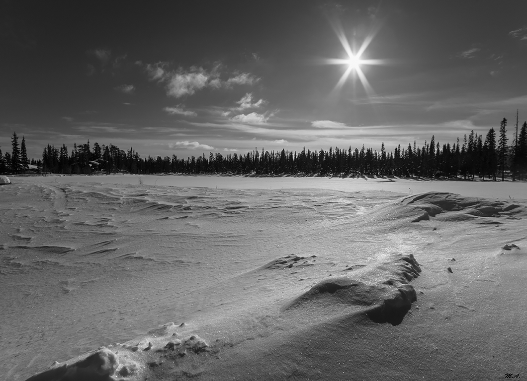 Quando la natura congela l'attimo