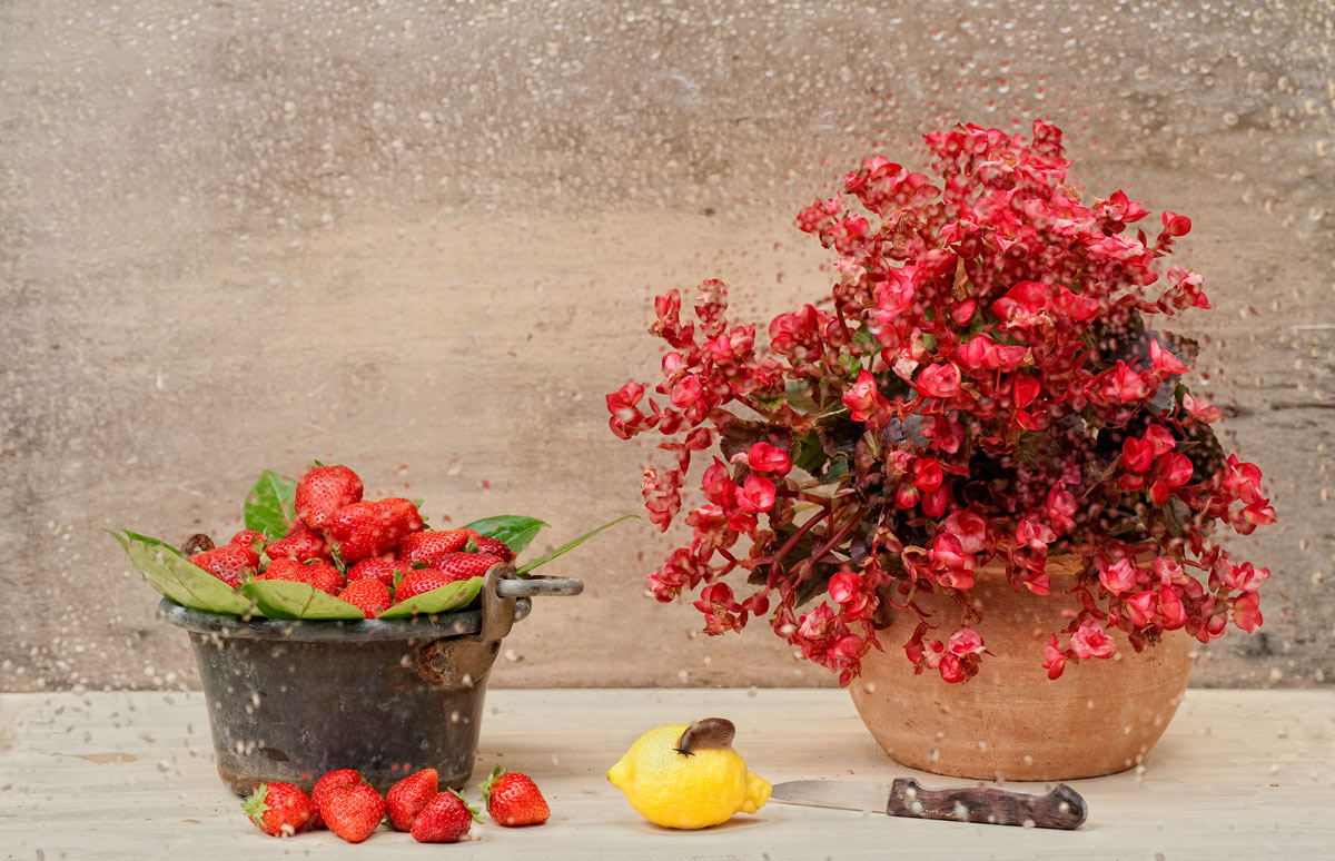 non pu� piovere per sempre...