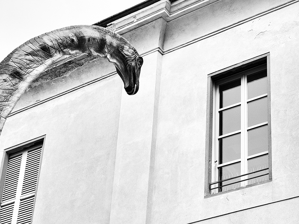 Un dinosauro alla finestra???