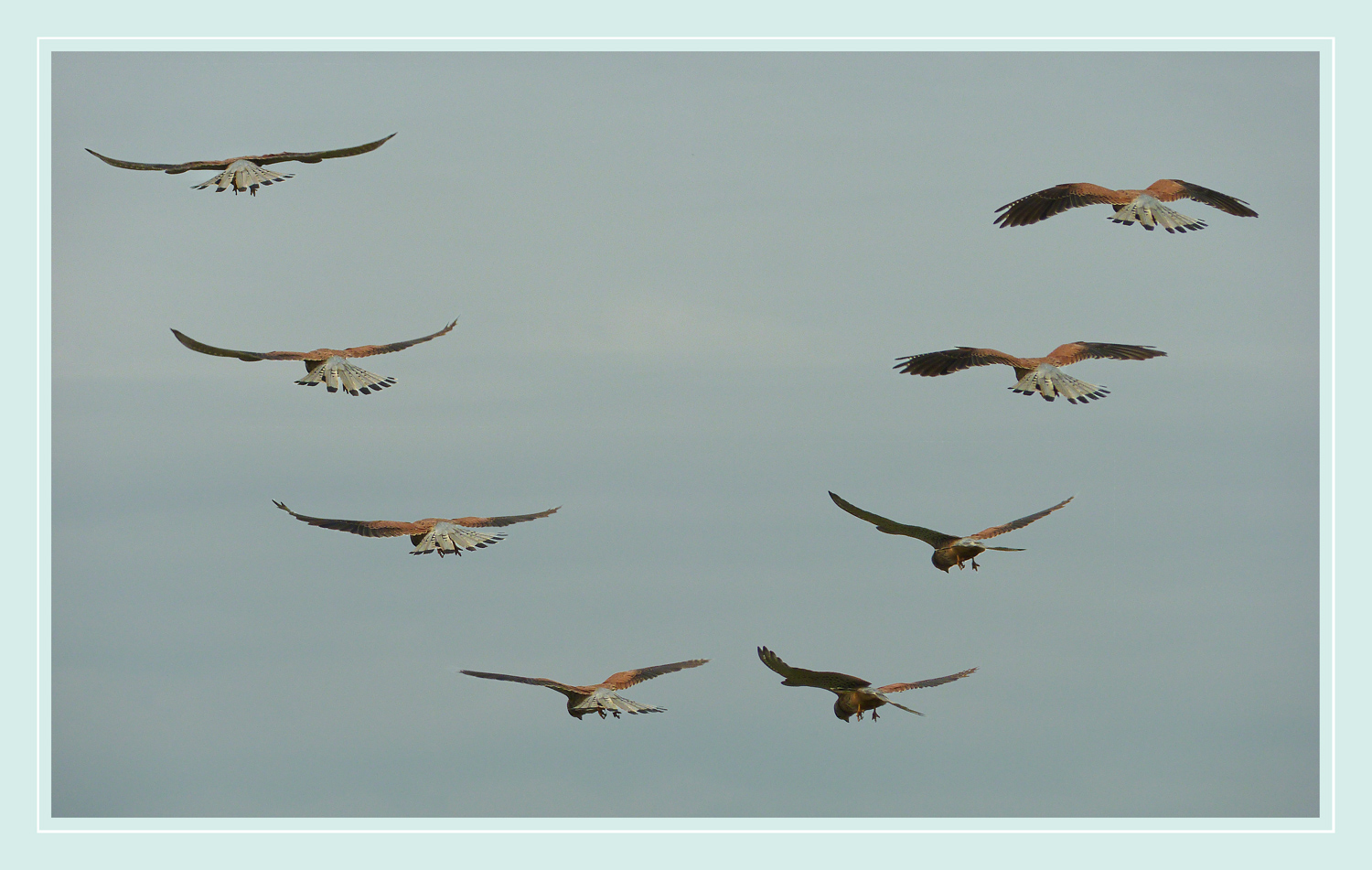 dinamica di un volo..