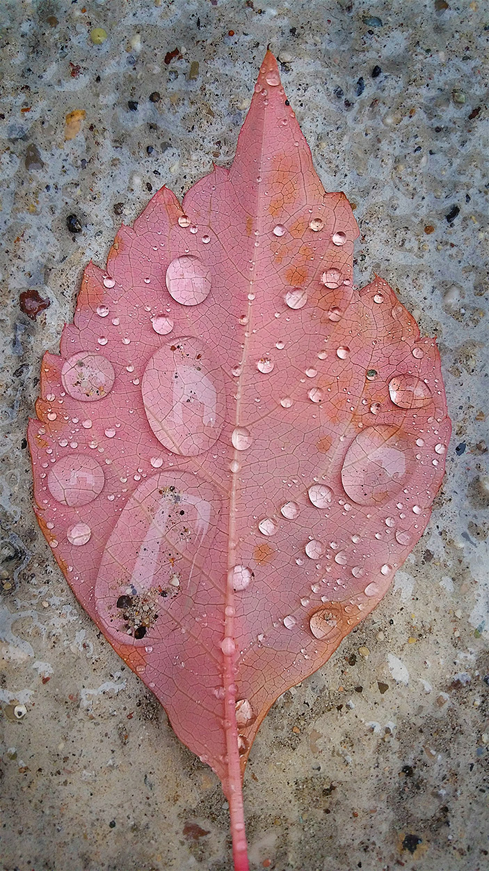 L'estate che non c'�